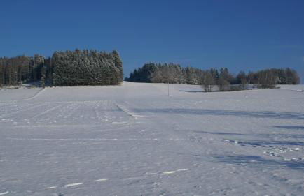 Ferienhof Naderhirn - Bauernhof - Foto 67