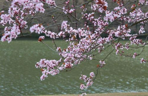 Ferienhaus 'Freund am See' 1 - Foto 17