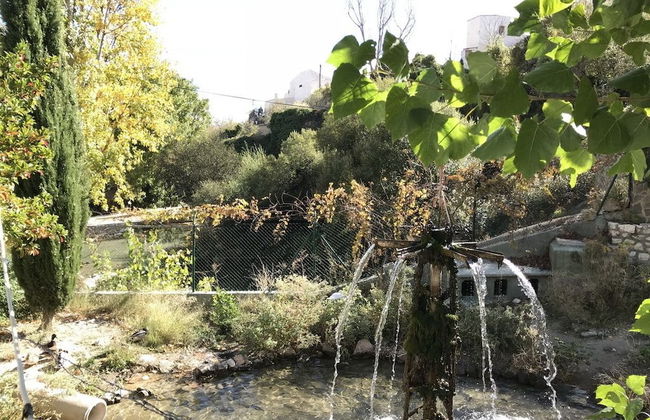 El Palacil - Foto 25