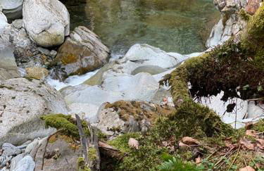 La Bergerie Marie - Photo 20