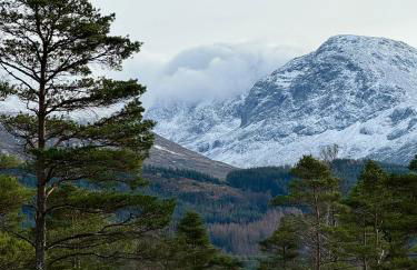 Equinox Cabin - Photo 20