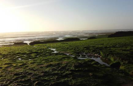 Ericeira Vibes - Foto 39