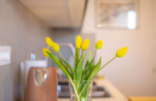 Billie Holiday apartment with balcony - Photo 42