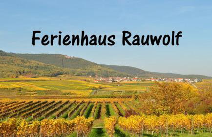 Ferienhaus Rauwolf mit 2 Ferienwohnungen - Photo 23