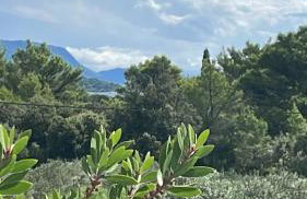 Villa Centenary Goose - Foto 19