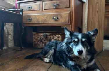 The Cartshed - Photo 22