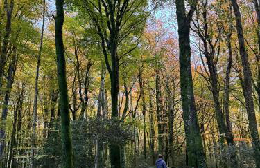 Dulrush Self-Catering Lodges - Foto 35