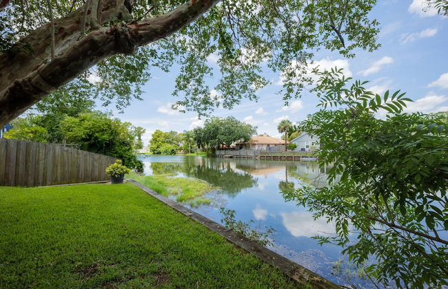 Paradise Palm - Foto 29