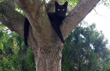 Holiday home "Goga" ruralna kuća - Foto 28