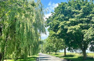 Bridge Cottage Stunning 4 bed thatched cottage - Photo 17
