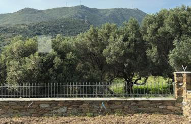 Villa Esperia - Foto 28