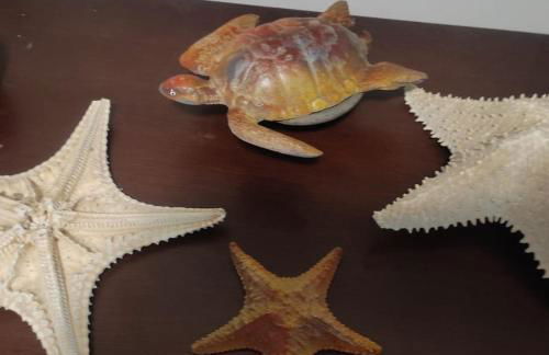 Apartamento Vermon 102 - Foto 20