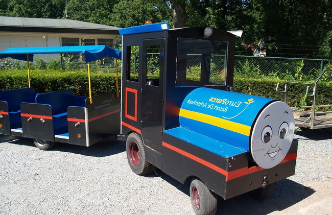 Comfortable Wooden Chalet in the Achterhoek - Foto 22