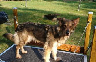 Holiday Home Finnhaus by Interhome - Foto 10