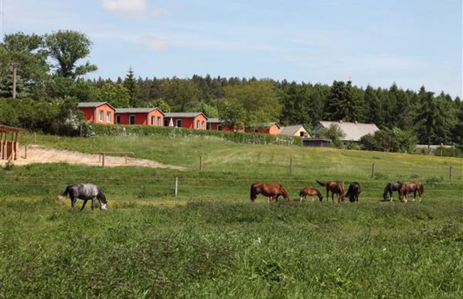 Ferienhaus am Garder See Inselblick - Photo 33