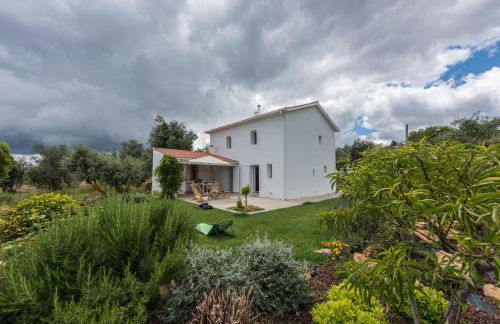 Casa do Olival - Foto 35