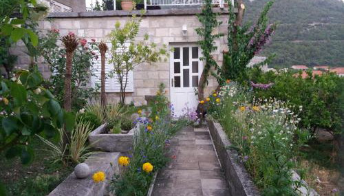 Apartman Matić - Foto 5, Garden