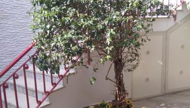 Poggio del Sole - Foto 4