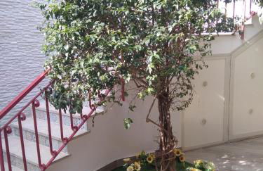 Poggio del Sole - Foto 4