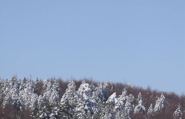 Sfendamos Wood Village - Foto 25