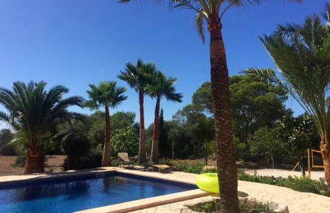 Finca Son Azul Real - Foto 12