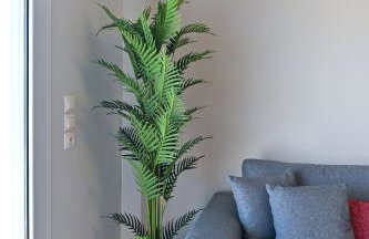 WEST BREEZE - Photo 34