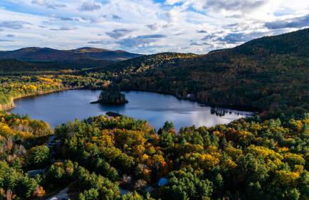 The Bear's Den - Foto 67