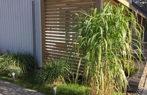 Domki Szelega - Foto 17