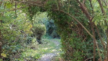 Boheme chic aux portes de Paris - Foto 4, Garden