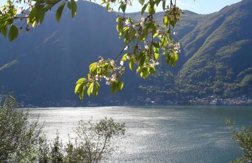 Casa privata con splendida vista lago "Il Gallicantus" - Foto 2
