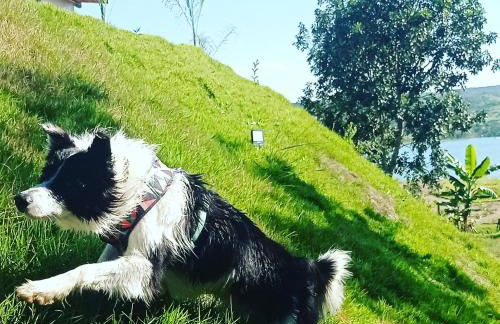 Chalé Mirante, piscina, cachoeira, lago e vista espetacular em Alexânia Goiás - Foto 11