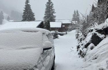 Chalet Carre - Foto 17