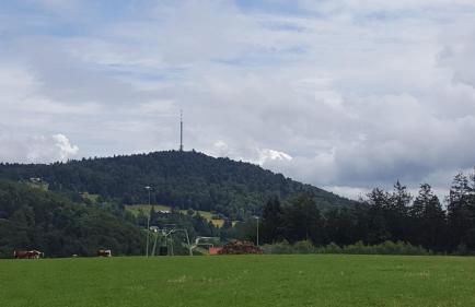 Ferienbungalow Sonnenwald Bayerischer Wald - Foto 19