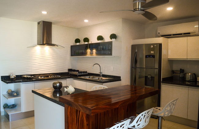 Beachfront Penthouses at Brisas by The Spot - Photo 53