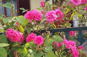 Kuća za odmor ,Erdelj 21 B - Foto 40