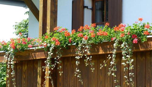 Ferienwohnungen Reitinger - Photo 4