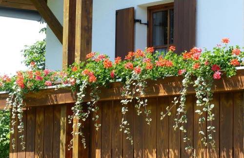 Ferienwohnungen Reitinger - Photo 4