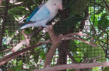 Casa Lilly - Foto 75