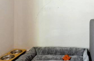 2BR Apt with BBQ & Parking Spring Fling Stay - Foto 42