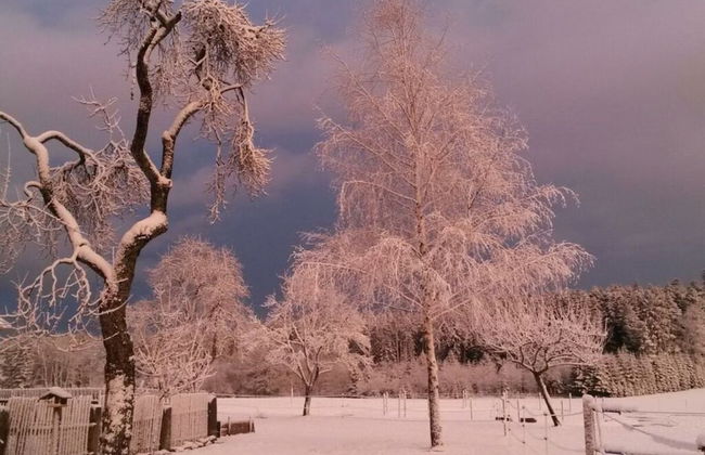 1 Fuchskreuzhof Comfortable Holiday Residence - Foto 9