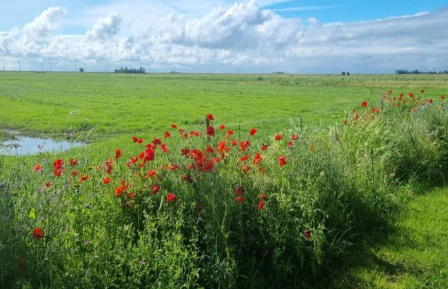 Bungalow in Sondel Near Slotermeer Lake - Foto 14