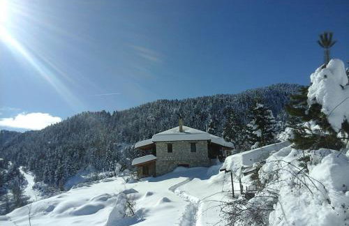 Arli House - Photo 41