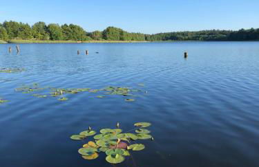 5 Sterne-Ferienhaus Eisvogel am See mit Sauna und Kamin - Foto 14