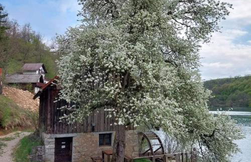 Kuća za odmor Anita - Foto 30