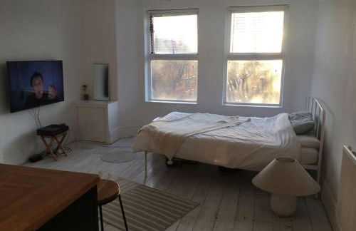 Top floor 1 bedroom, Princes Avenue - Foto 15