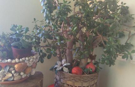 Apartment Cvjetna - Foto 57