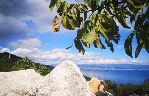 Apartman MARIJETA - Foto 46