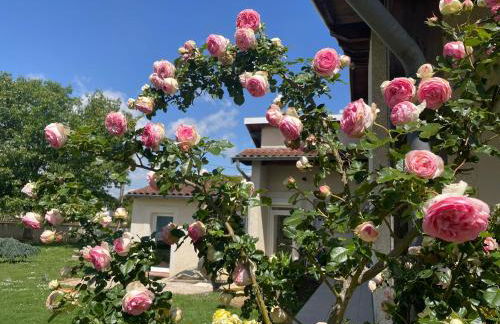 Repli des 3 ponts - Foto 13