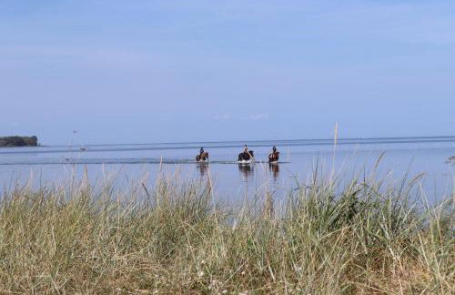 Ostseeferienhaus California - Foto 61