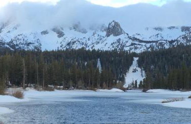 Mountainback 38 pet unit - Foto 3